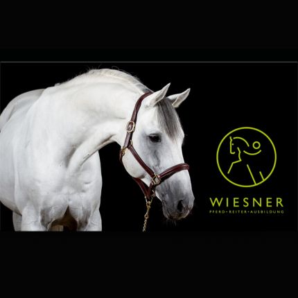 Logótipo de Pferd Reiter Ausbildung Ausbildungsstall Wiesner