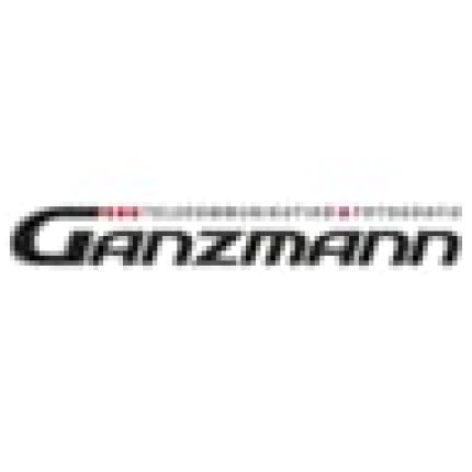 Logo de Ganzmann GmbH