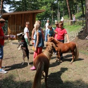 Bild von Camping und Ferienpark Buntspecht