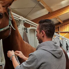 Bild von Dr. med. vet. Alfons Weissmüller Tierärztliche Allgemeinpraxis