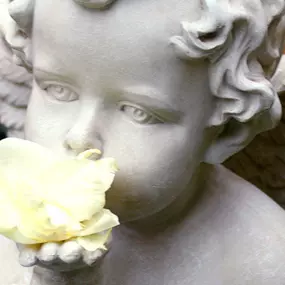 Bild von Abschied Bestattungen