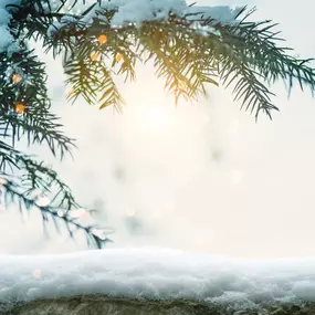 Bild von Abschied Bestattungen