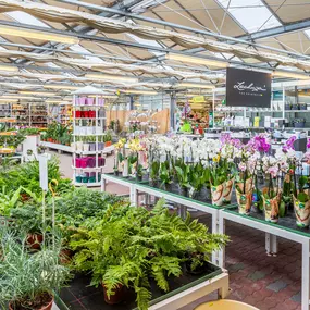 Kissener's Gartenmarkt & Garten-,  Landschaftsbau und Zaunanlagen