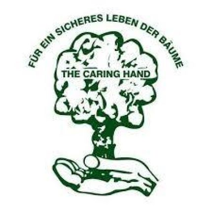 Logo de Baumdienst Siebengebirge Baumfällung  Bonn / Köln