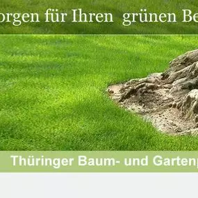 Bild von GRÜNER DIENST - Baumpflege