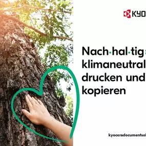 Bild von Baer Elektronik GmbH