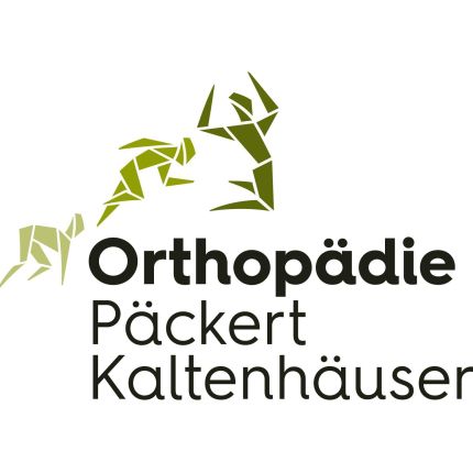 Logo von Orthopädie Päckert und Kaltenhäuser - Fachärzte für Orthopädie & Unfallchirurgie