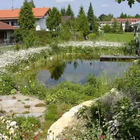 Bild von Hammer + Kampermann Badeteiche