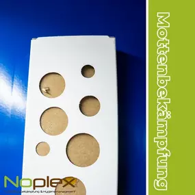 Noplex Schädlingsbekämpfung Mottenbekämpfung