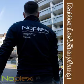 Noplex Schädlingsbekämpfung Rattenbekämpfung