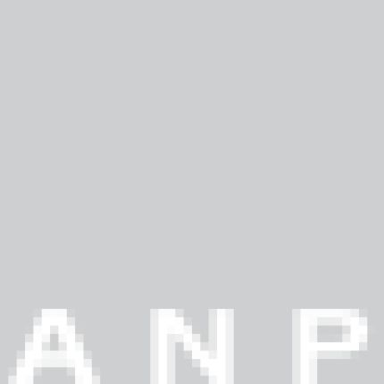 Logo van A N P Architektur- und Planungsgesellschaft mbH