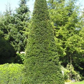 Bild von Fenk Anton Garten- und Landschaftsbau