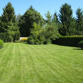 Bild von Fenk Anton Garten- und Landschaftsbau