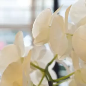 Stadtwaldpraxis für Ganzheitsmedizin