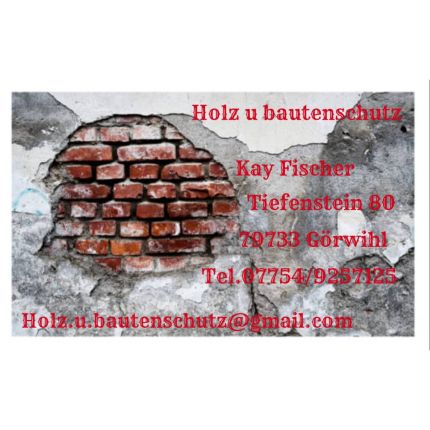 Logo von Holz u.Bautenschutz