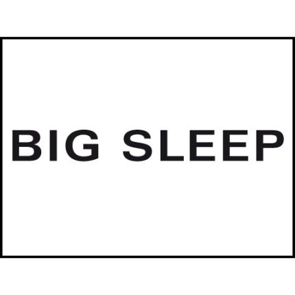 Logo von Big Sleep | Wasserbetten | Tempur Center | München