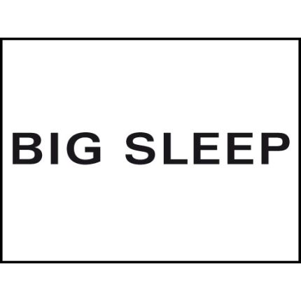 Λογότυπο από Big Sleep | Wasserbetten | Tempur Center | München