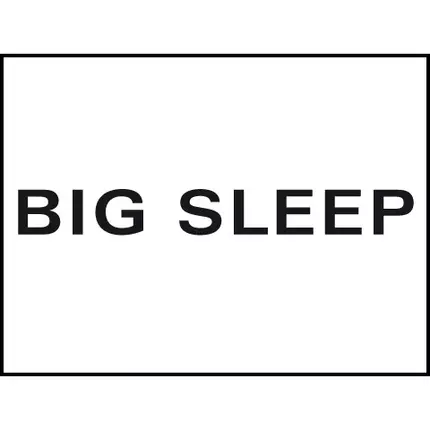 Logo van Big Sleep | Wasserbetten | Tempur Center | München