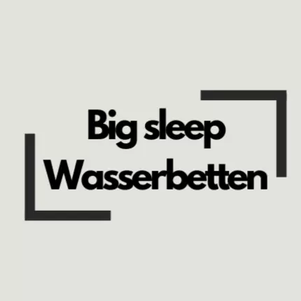 Logotyp från Big Sleep | Wasserbetten | Tempur Center | München