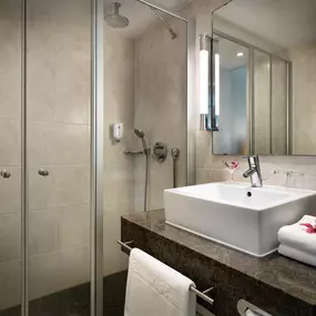 bathroom Business double room