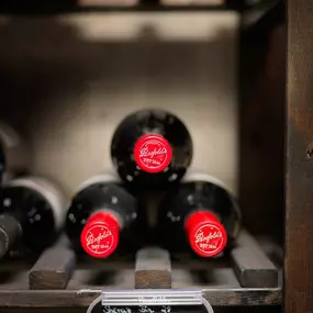 Walk-in wine cellar