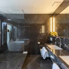 bathroom Penthouse