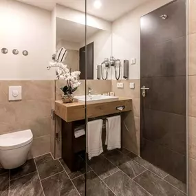 Premium room bathroom