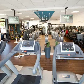 Health club  fitness center  gym