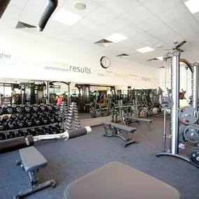 Health club  fitness center  gym