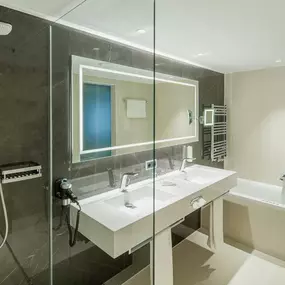 Deluxe Guest Bathroom