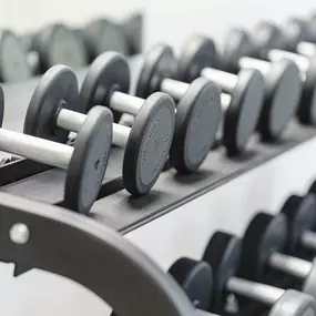 Health club  fitness center  gym