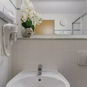 Guest room bath