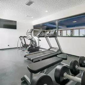 Health club  fitness center  gym