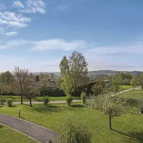 View from room into park