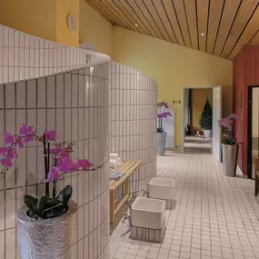 Shower of wellness area