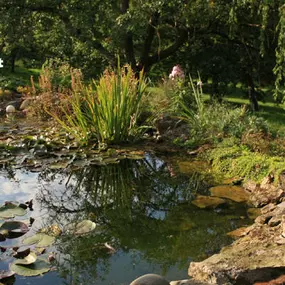 Bild von Grüne Landschaft GmbH