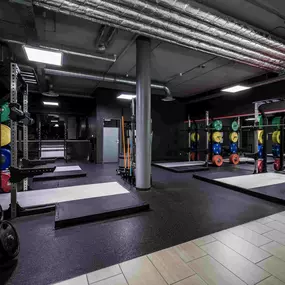 Fitness First Frankfurt Ostend - Squat Racks