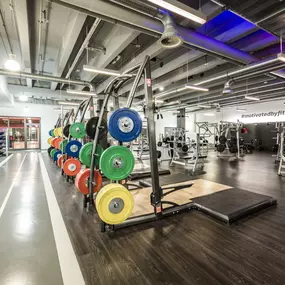 Fitness First Berlin Zehlendorfer Welle - Squat Racks