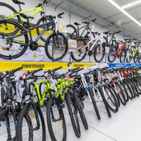 Bild von DECATHLON