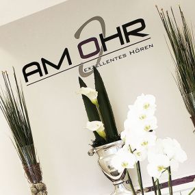 Bild von Am Ohr GmbH & Co. KG