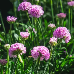 Bild von Gartencenter Spiering Oberhausen