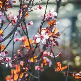 Bild von Gartencenter Spiering Oberhausen