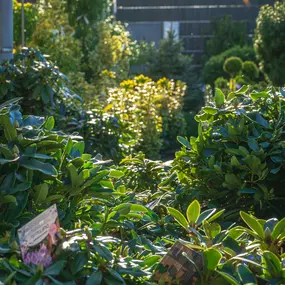 Bild von Gartencenter Spiering Oberhausen