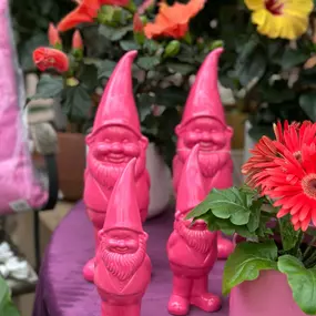 Bild von Gartencenter Spiering Oberhausen