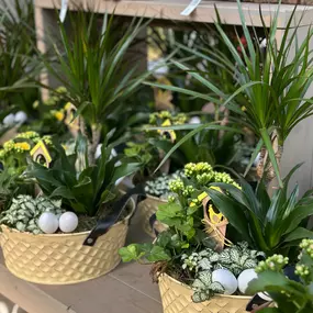 Bild von Gartencenter Spiering Oberhausen