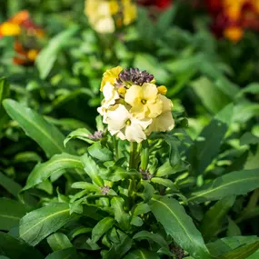 Bild von Gartencenter Spiering Oberhausen