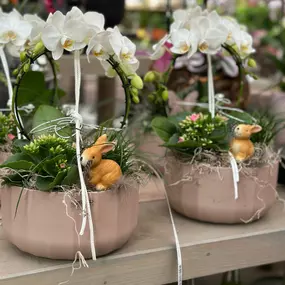 Bild von Gartencenter Spiering Wesel