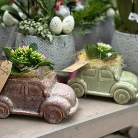Bild von Gartencenter Spiering Wesel