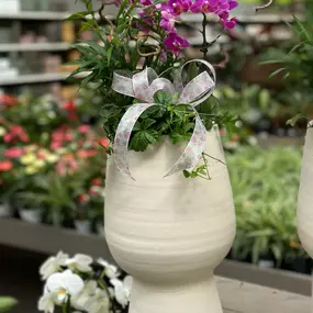 Bild von Gartencenter Spiering Wesel