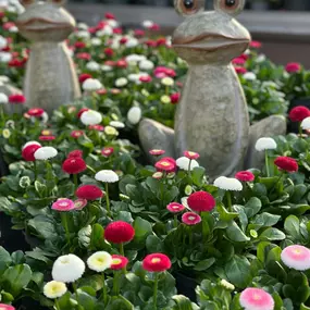 Bild von Gartencenter Spiering Wesel